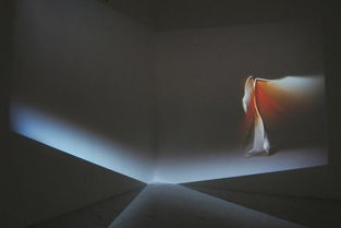 “后生命” 上海媒体艺术展，数字时代的美学探索