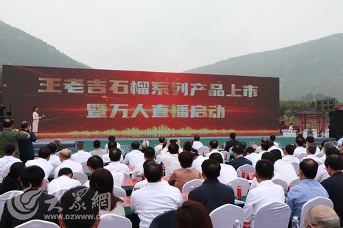 榴聚新动能 2023石榴产业发展大会在枣庄开幕，共绘产业与文化交融新蓝图